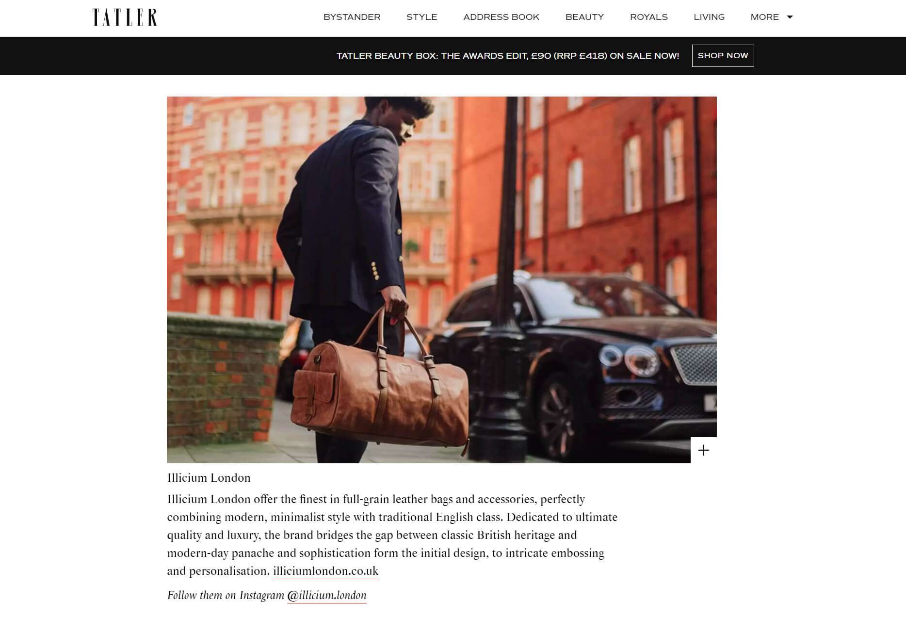 illicium feature tatler magazine