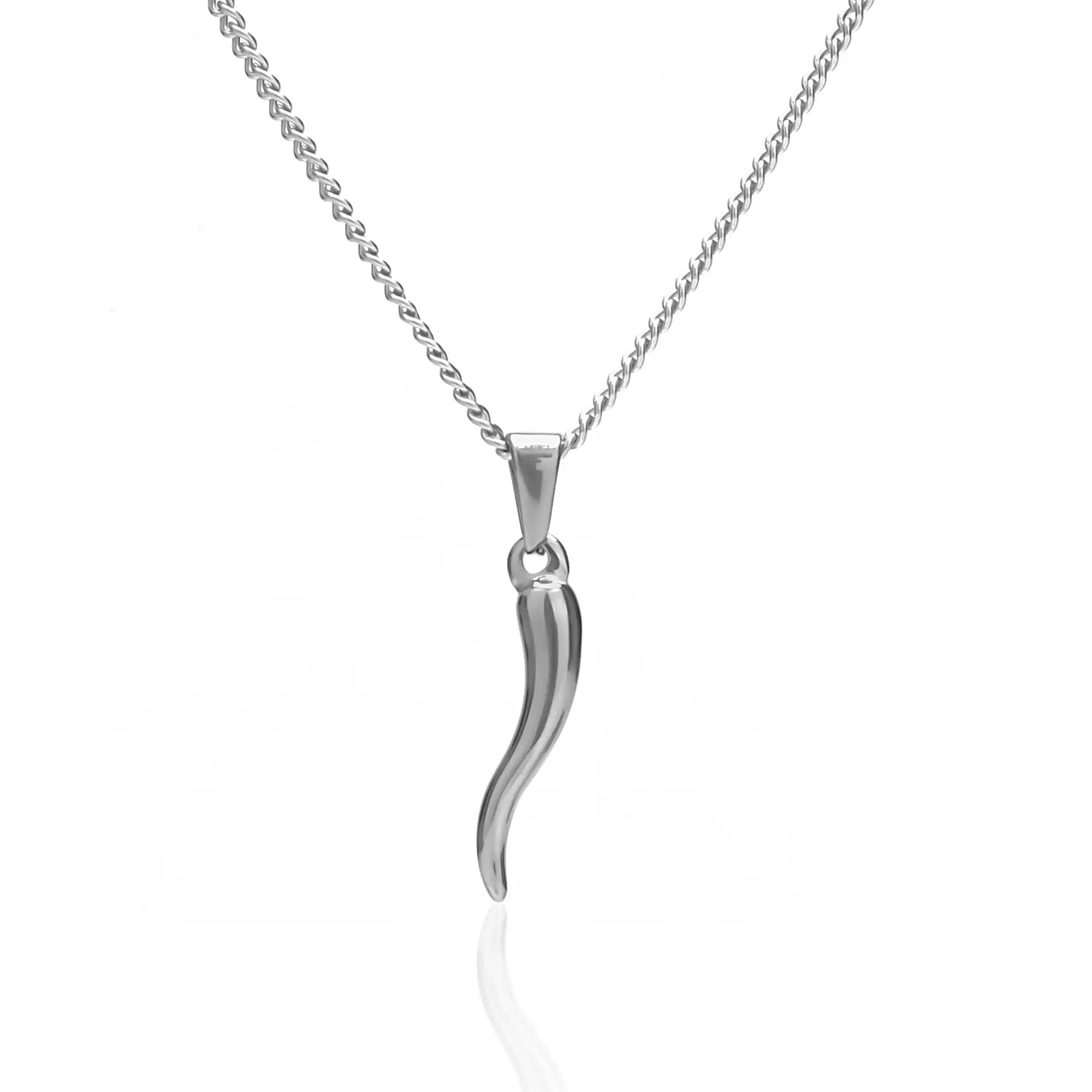 silver Italian horn necklace